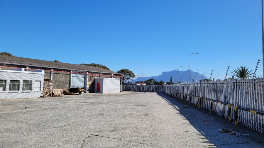 To Let Commercial Property for Rent in Epping Industrial Western Cape